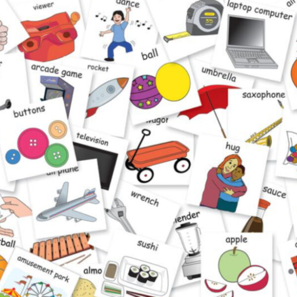 Selection of assorted overlapping PECS pictures for the Picture Exchange Communication system