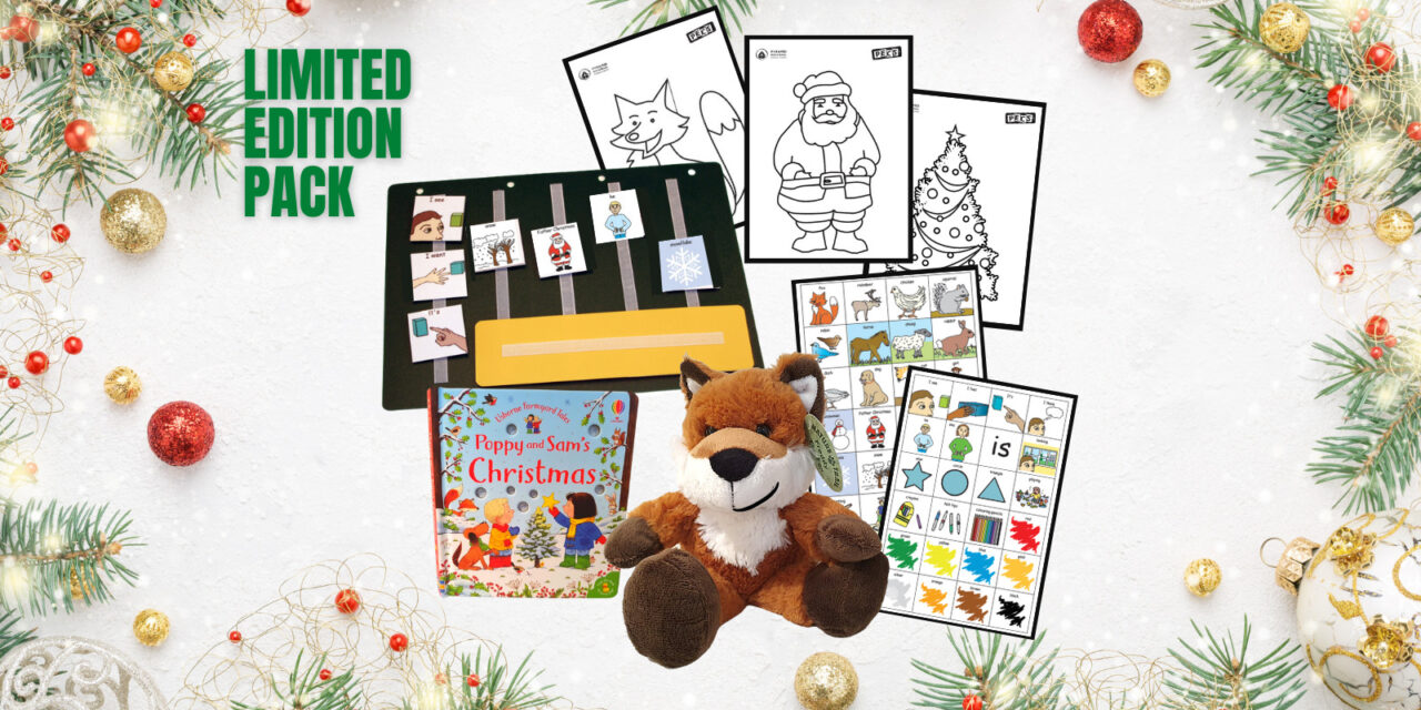 Christmas Activity