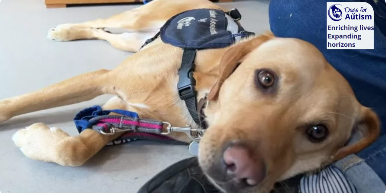 Dogs for Autism centre