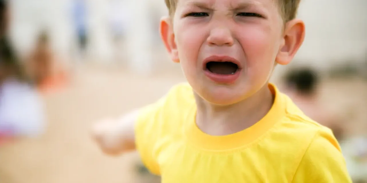 Challenging Behaviours: Prevent, Reduce and Replace