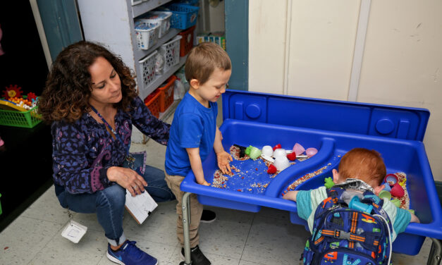 Raising Standards in Behaviour Analysis: Big News from the UK-SBA